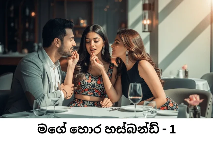 ම​ගේ හොර හස්බන්​ඩ් - 20 ආවා...